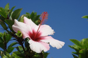 Überwintern auf Madeira