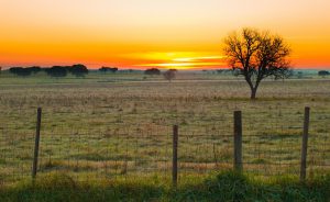 Überwintern im Alentejo