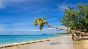 Überwintern auf Martinique