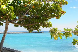 Überwintern auf La Reunion