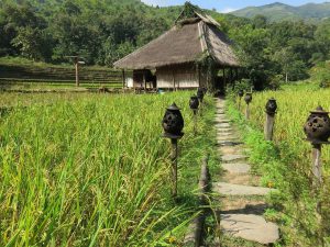 Überwintern in Laos