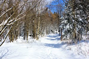 Skiurlaub im Thüringer Wald