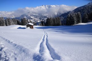 Skiurlaub Montafon