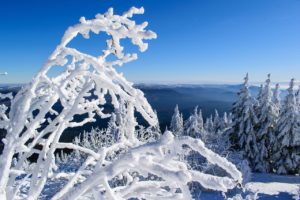 Skiurlaub Großer Arber