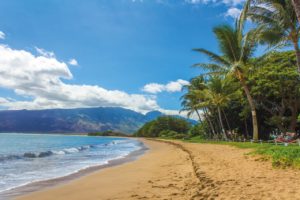 Überwintern auf Hawaii